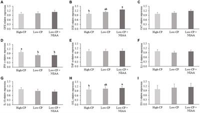 Effects of crude protein and non-essential amino acids on growth performance, blood profile, and intestinal health of weaned piglets